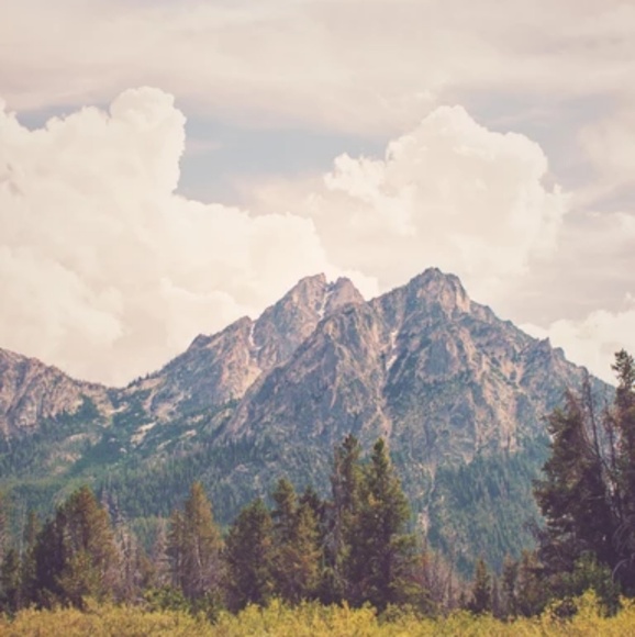 Meet your Posher, Grant - Picture 1 of 1